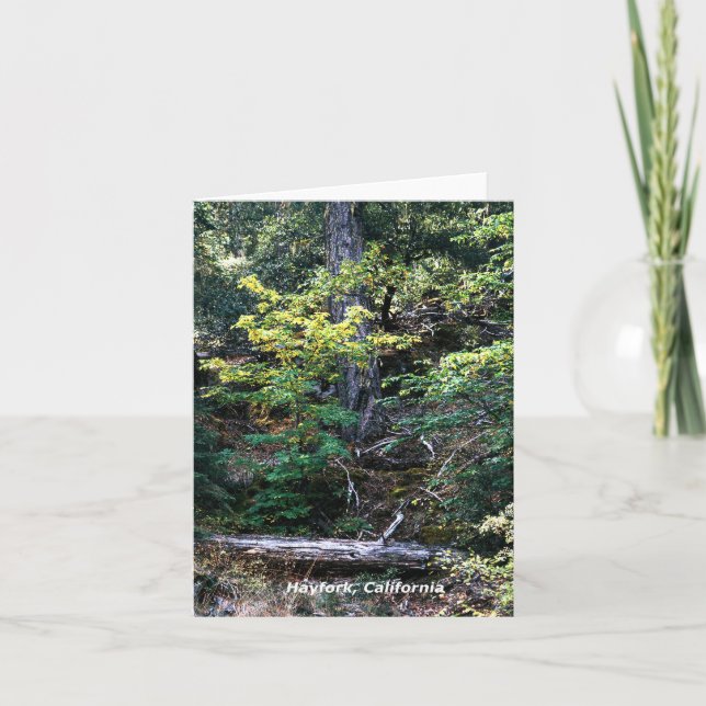 Carte L'automne est là....... (Devant)