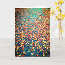 L'automne laisse le chemin de forêt humide