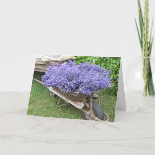 Carte Lavande Remplie