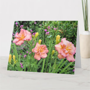 Carte Lavande rose double jour