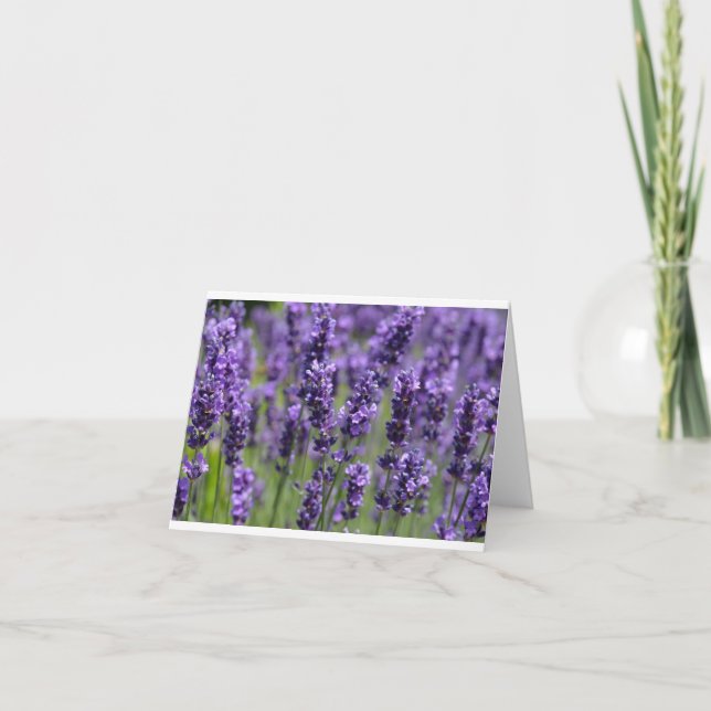 Carte Lavender (Devant)