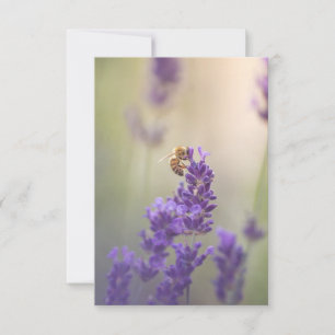 Carte Lavender Flower Honeybee Nature Photo