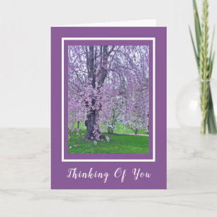 Carte LAVENDER ROSE PORTEMENT CHERRY TREE / Pensée de vo