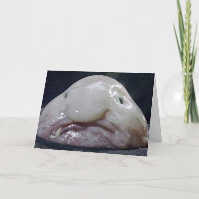 Carte Le Blobfish (Devant)