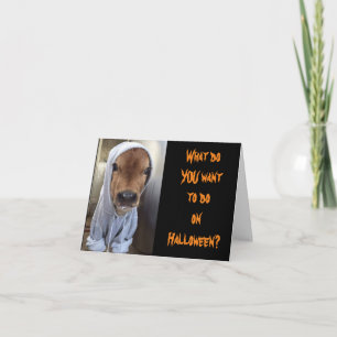CARTE LE CALF EST PRÊT POUR LE HALLOWEEN