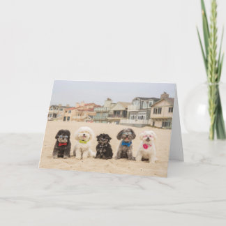 Carte Le calme sur la plage