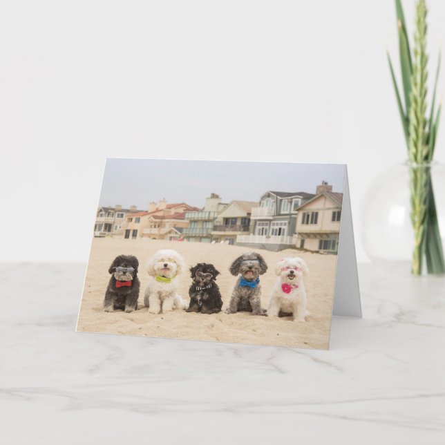 Carte Le calme sur la plage (Devant)