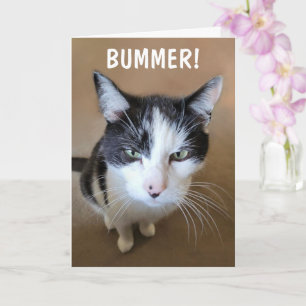 Carte Le cancer est un fléau