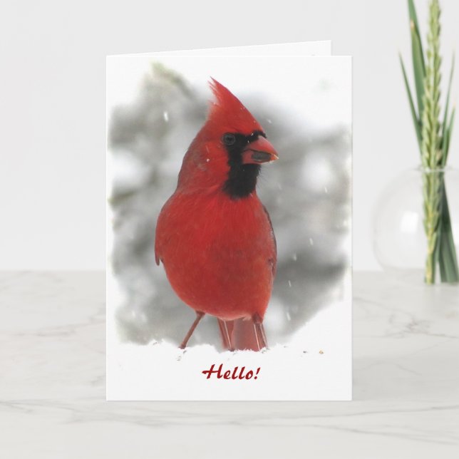 Carte Le Cardinal pense à vous (Devant)