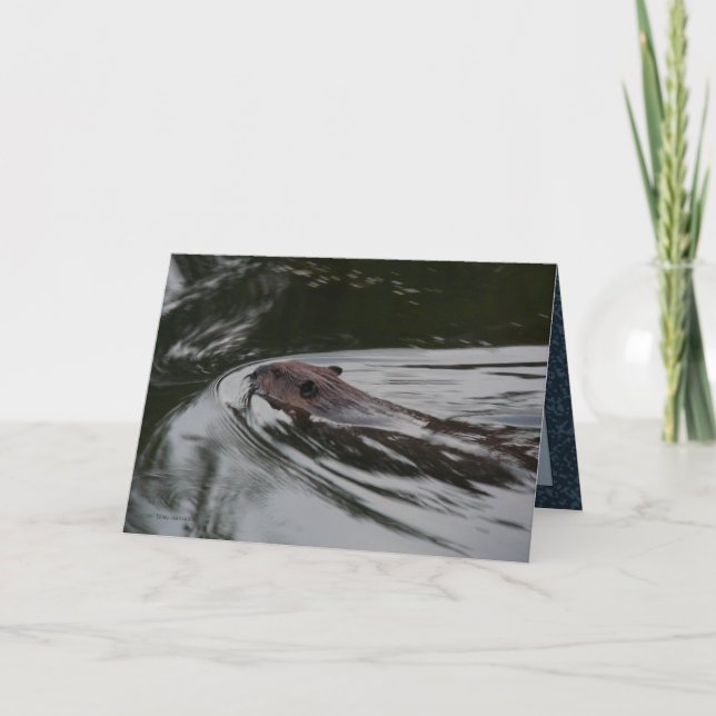 Carte Le castor (Devant)