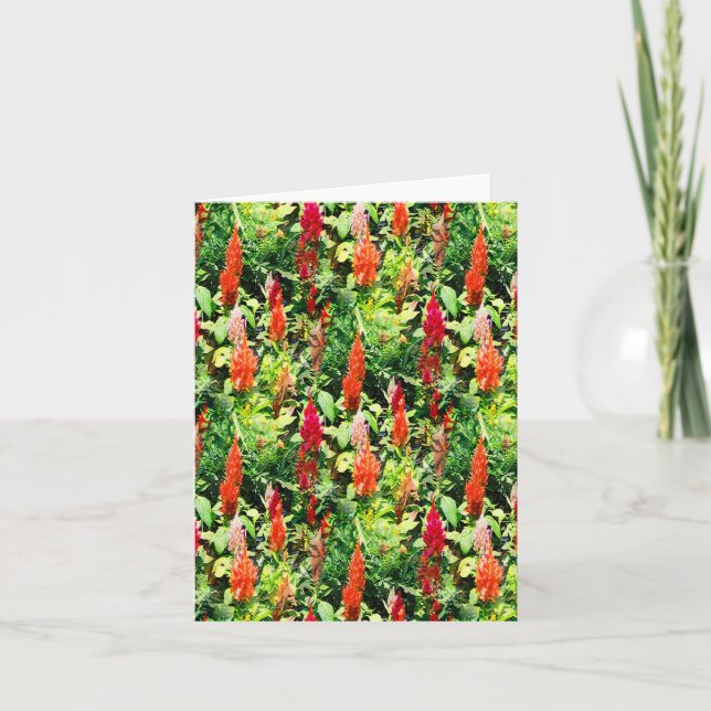 Carte Le champ de fleurs..... (Devant)