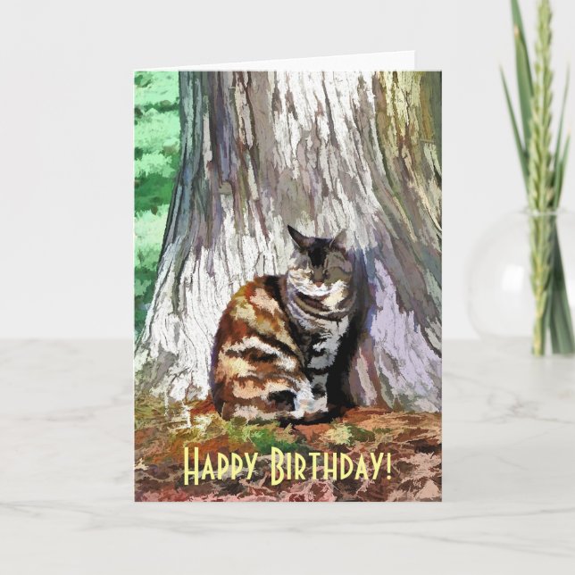 CARTE LE CHAT (Devant)