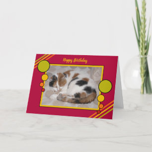 Carte Le chat de calicot a courbé le vert rouge de photo