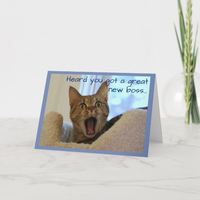 Carte Le chat de retraite est très heureux (Devant)