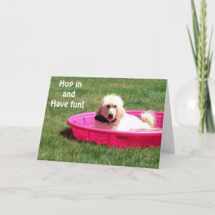 CARTE LE CHIEN DANS LA PISCINE DIT SAUTER ET PROFITER DE