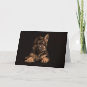 Carte Le Chiot