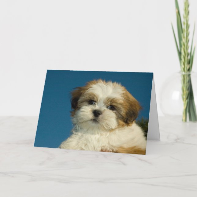 Carte Le chiot de Shih Tzu "pensant à vous" cardent (Devant)