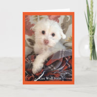 Le chiot doux enveloppé dans une couverture