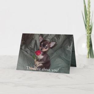 Carte Le chiwawa mignon adorable de bébé joyeux s'est