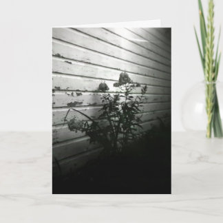 Carte Le coeur demande le plaisir d'abord