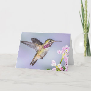 Carte Le colibri de Calliope vole en sympathie violette