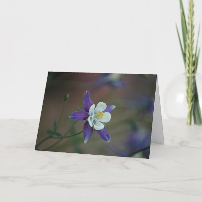 Carte Le Colorado Columbine (Devant)