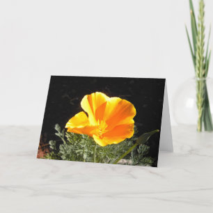 Carte Le crapaud de Californie en fleurs