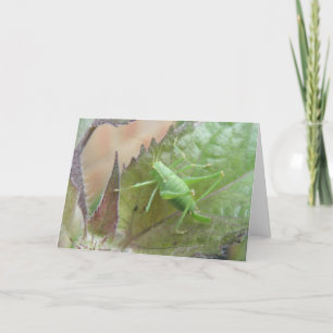 Carte Le cricket vert sur une feuille de voeux