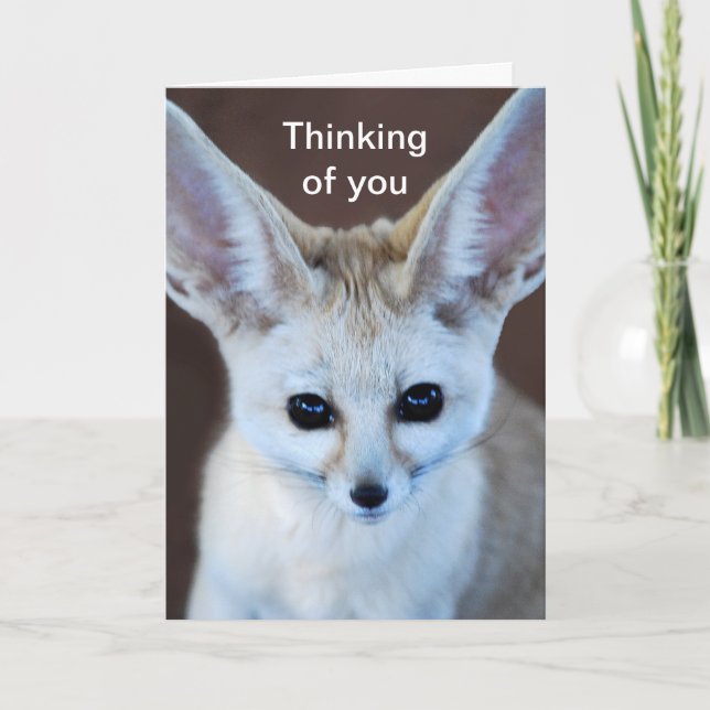 Carte Le Fox de Fennec le plus mignon des mondes (Devant)
