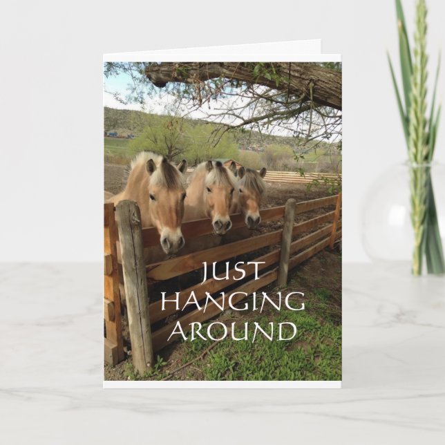 CARTE LE GROUPE DES CHEVAUX COOL DIT "JOYEUX ANNIVERSAIR (Devant)