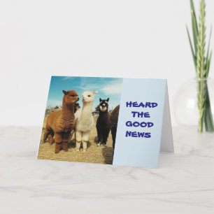 CARTE LE GROUPE DIT **RETRAITE-VOUS ÊTES LIBRE DE PROFIT