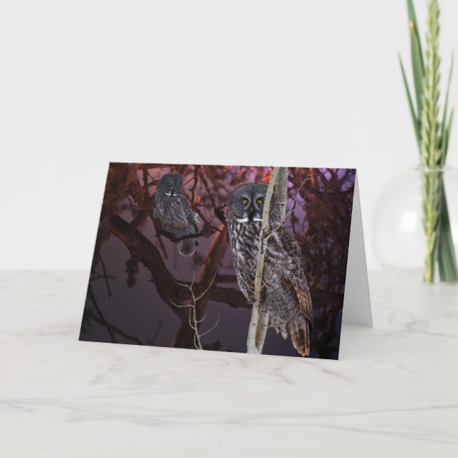 Carte Le hibou de grand gris majestueux (Devant)