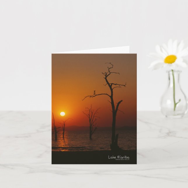 Carte Le lac Kariba au coucher du soleil (Petite plante)