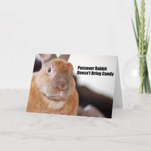 Carte Le lapin de pâque indique
