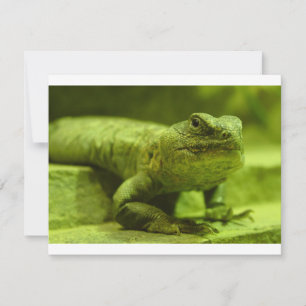 Carte Le Lézard Vert