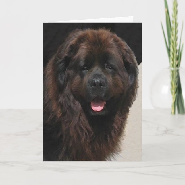 Carte Le Linderhof Newfie (Devant)