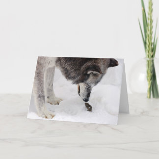 Carte Le loup rencontre la souris