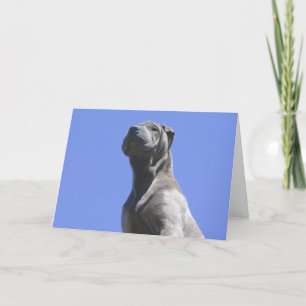 Carte Le meilleur ami de l'homme…
