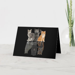 Carte Le miroir des chats Puma Cheetah Tiger Funny
