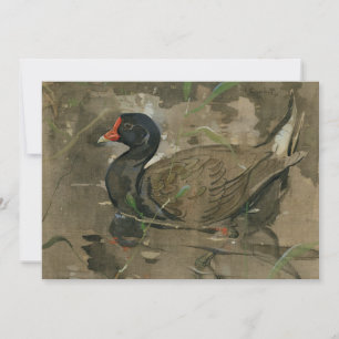 Carte Le Moorhen Joseph Crawhall