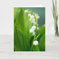 Le muguet