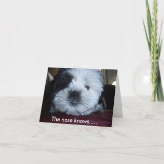 Carte Le nez sait....
