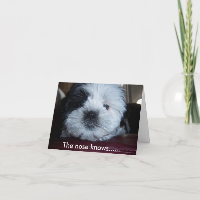 Carte Le nez sait.... (Devant)