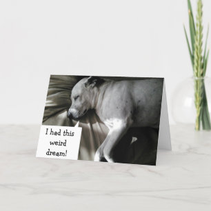 CARTE LE PAUVRE CHIEN AVAIT UN CAUCHEMAR "TON 30 TOUR !"