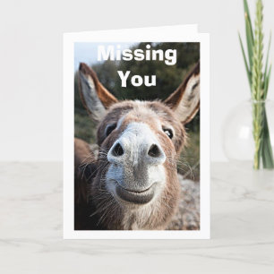 CARTE LE PAUVRE DONKEY VOUS MANQUE / PAS TRÈS HEUREUX À 