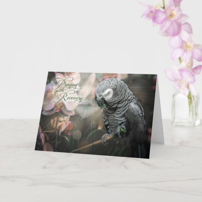 Carte Le perroquet gris africain et les orchidées se por (Orchidée)