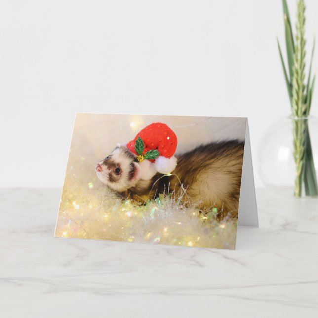 Carte Le Petit Ferret De Noël À Santa Hat (Devant)