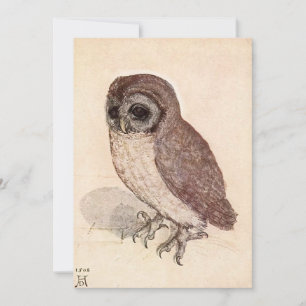 Carte Le Petit hibou Albrecht Dürer