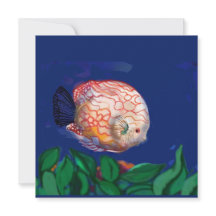 Le poisson incroyable
