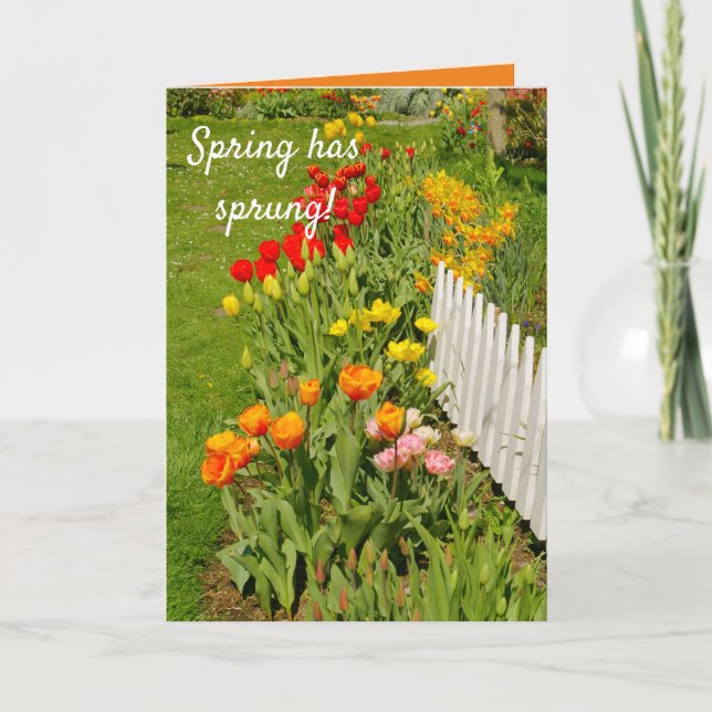 Carte Le printemps est né, joli jardin de printemps, (Devant)